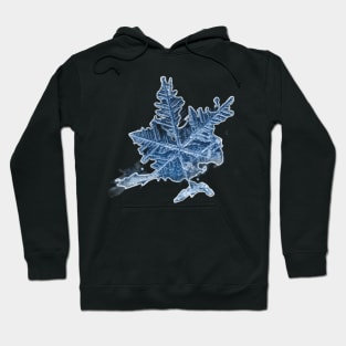 Copos de nieve. Hoodie